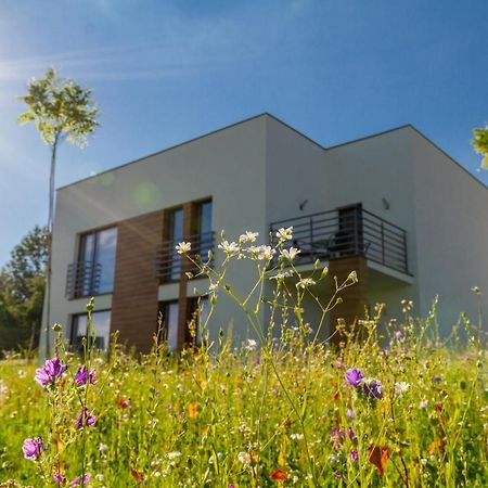 Trzy Male Drzewka Apartment Wielka Wies  Exterior foto